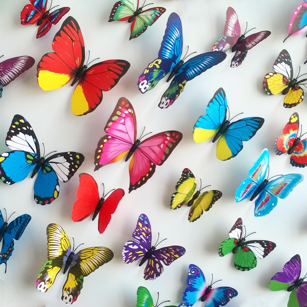 Spalvoti dekoro drugeliai 12vnt – Tetro